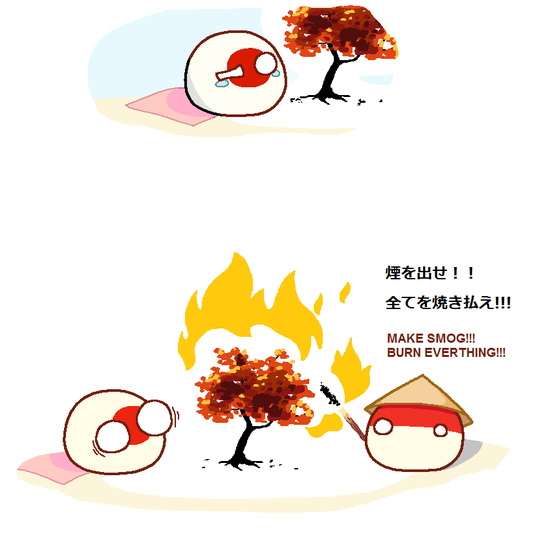 日本の紅葉　インドネシアの焼き畑　海外の反応