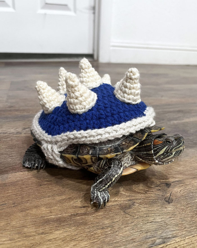 best-pet-halloween-costumes-15-670e5af5ef38d__700