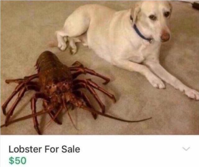 68dcf68d054b3_random-things-sold