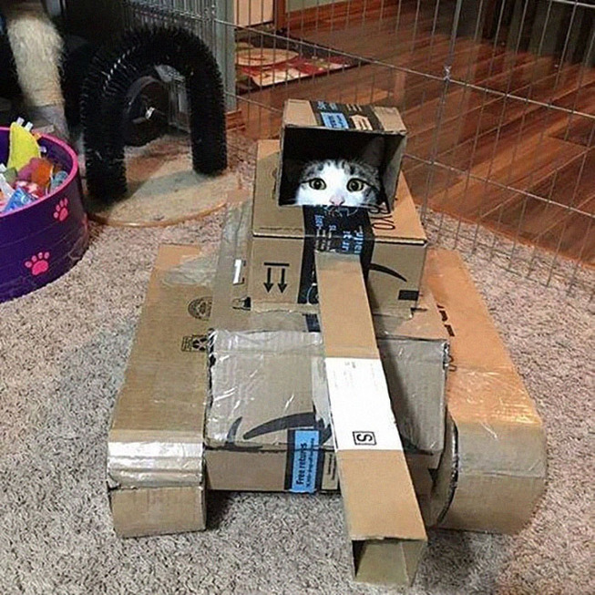quarantined-owners-build-cardboard-cat-tanks-5eaa7c038fc4e__700