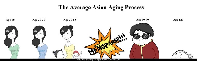 the_average_asian_aging_process