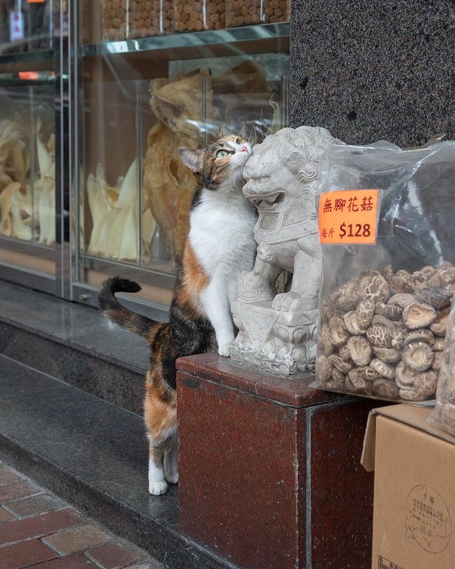 241423511_10161817360586840_4368048949924180636_n