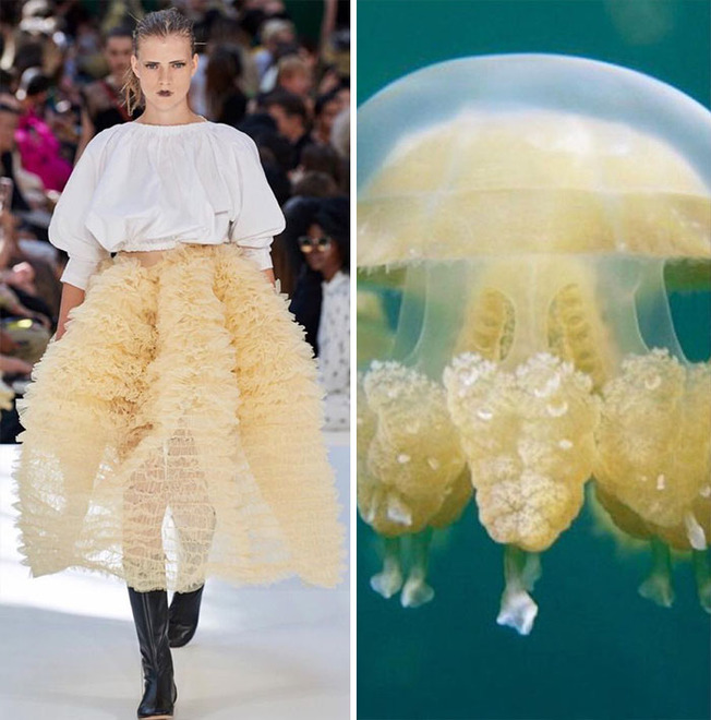 afaf-60508437bd08e__700