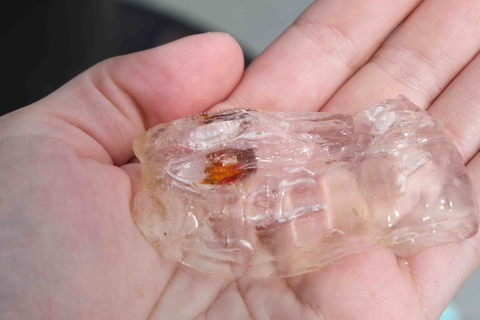 Salp2