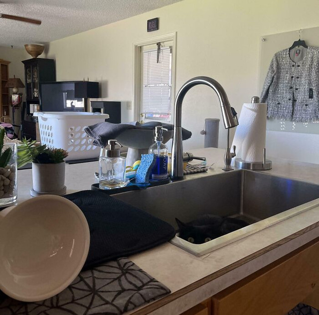 68fb288cbf85f_hidden-camouflage