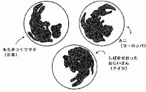 science0393
