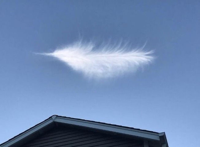 5c667766b3a57_16dhui8qpnr11__700