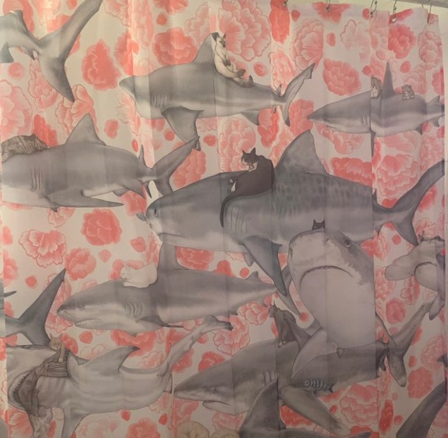 1456095324368429059-png__700