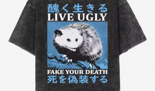 shwr6yz88l3h1