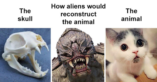 skull-how-aliens-would-reconstruct-animal-meme-coverimage