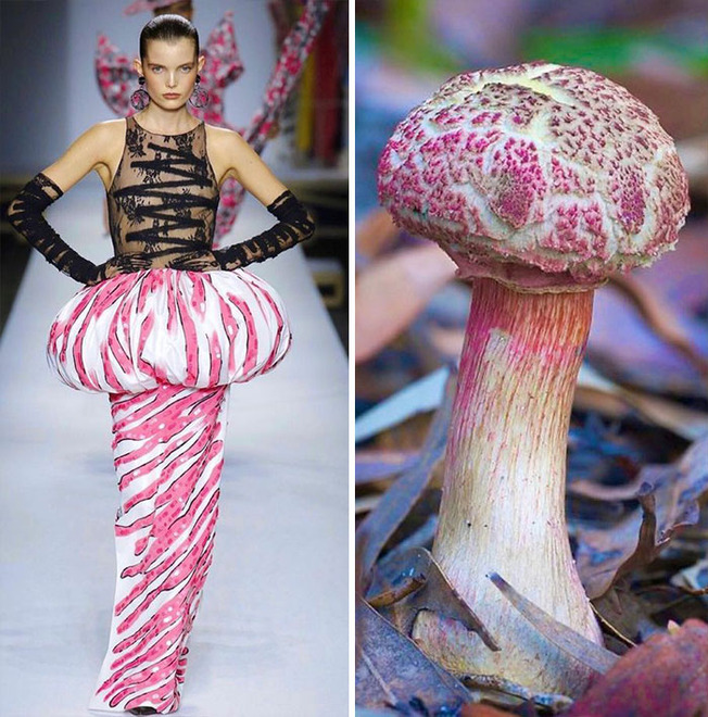 parallels-between-fashion-and-nature