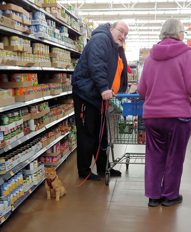 6945215b8fe93_service-cat__700