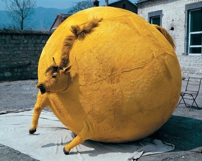 B4kbx9-Hs9p-png__700