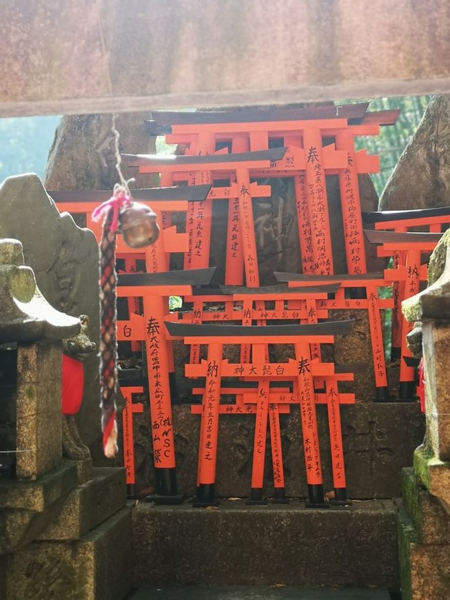 25 - X8tniJ0