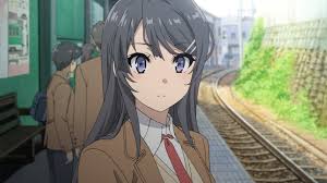 ダウンロード (8)