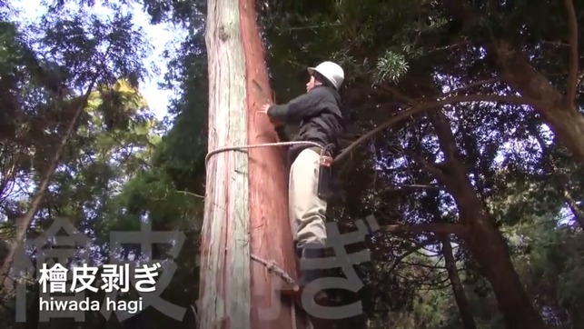 715df758-9eda-40ba-8c31-e9e950d67179