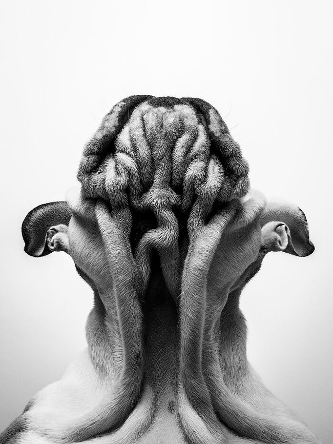 image_2023-01-16_105950833-63c51206c0806-png__700
