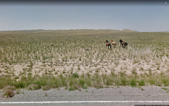 google-street-view-funny-pics-jon-rafman-8-605c59b6d684b__700