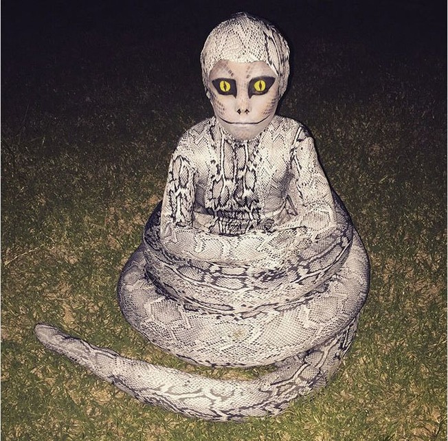 oddly-terrifying-pics-12-60c893588c9a1__700