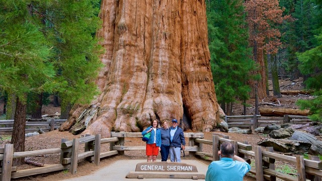 aa