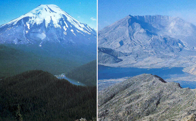 655b05476485d_t5vcpg88xcl41-png__700