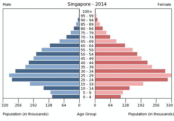 singapore-population-pyramid-2014