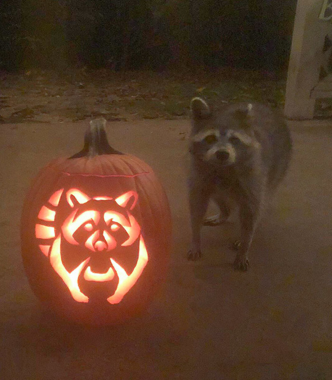 creative-carved-pumpkins-halloween-38-6343e58a85aa9__700