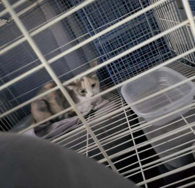 652687908d1af_examples-humans-being-jerks