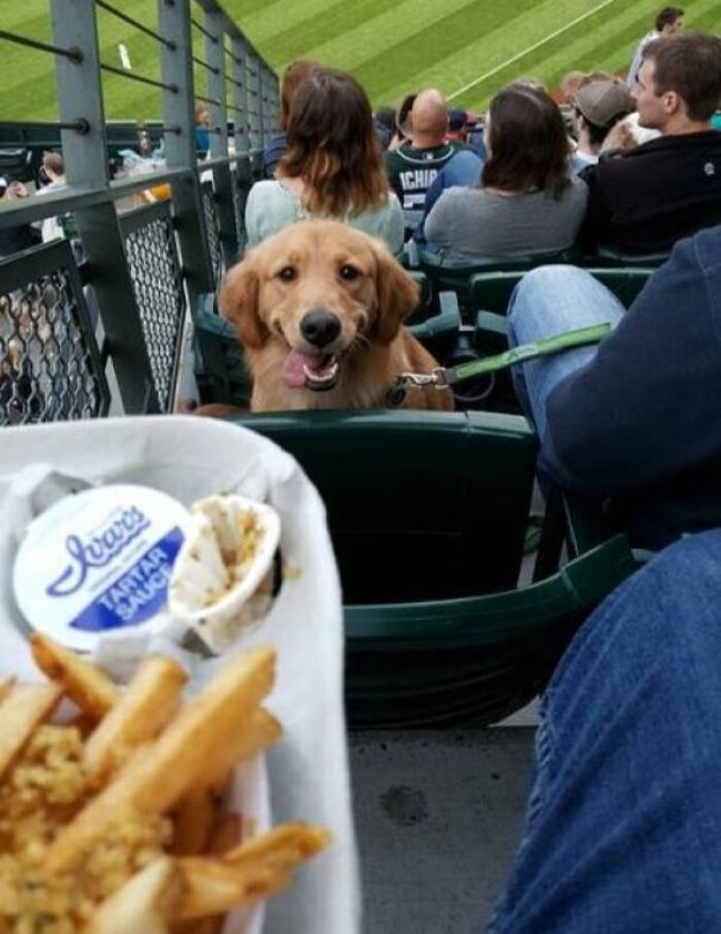 67b3458373b74_hungry-boy