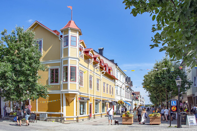 1739137174708853 (1)