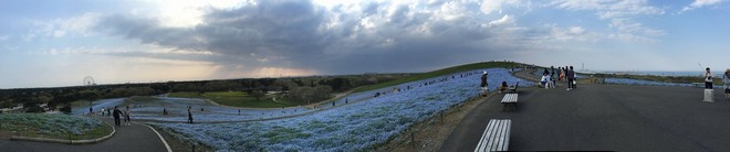 17 - Hitachi Seaside park