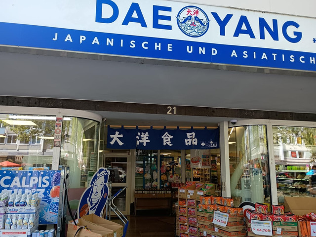 japanese-district-in-dsseldorf-g(11)