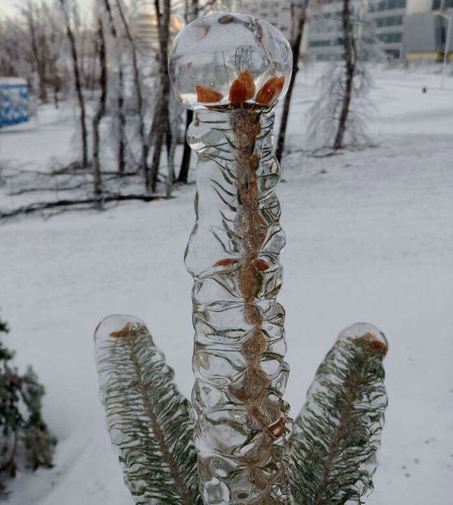 freezing-temperature-cold-winter-pics-17-63b7ebd64f300__700