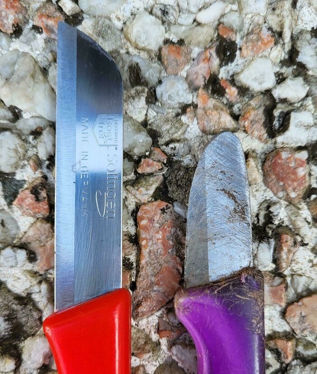 67d7c36eb8517_ntsor3i0fdqd1-jpeg__700 (1)