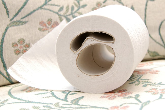 Toilet_paper_roll_with_two_cardb