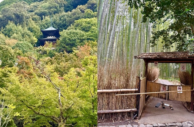 you-dont-need-20-000-steps-a-day (2)