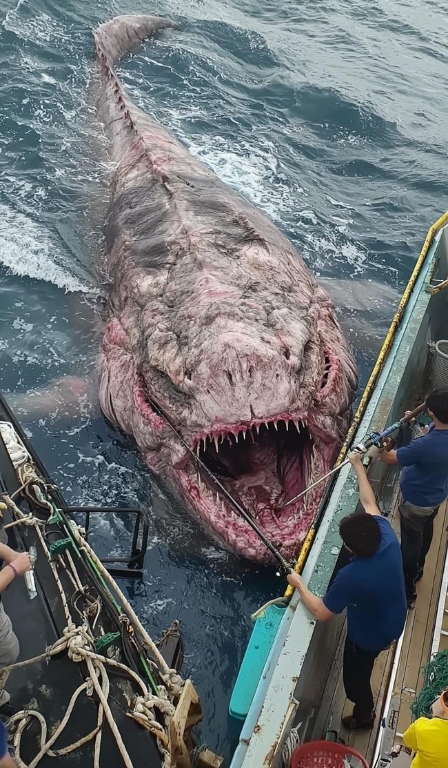 spending-a-week-on-a-japanese-fi