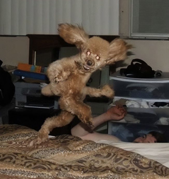cursed-weird-images-no-context-1-61dc04f86b4a8__700