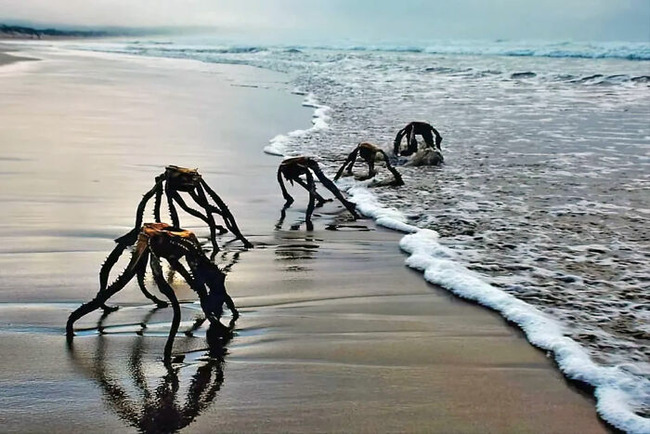 scary-creepy-nature-pics-201-646372df5fd4d__700 (1)