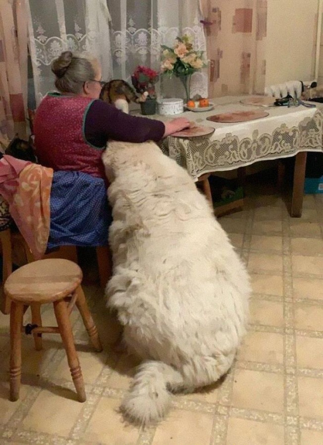 funny-absolute-unit-pics-17-6087d32f28be5__700