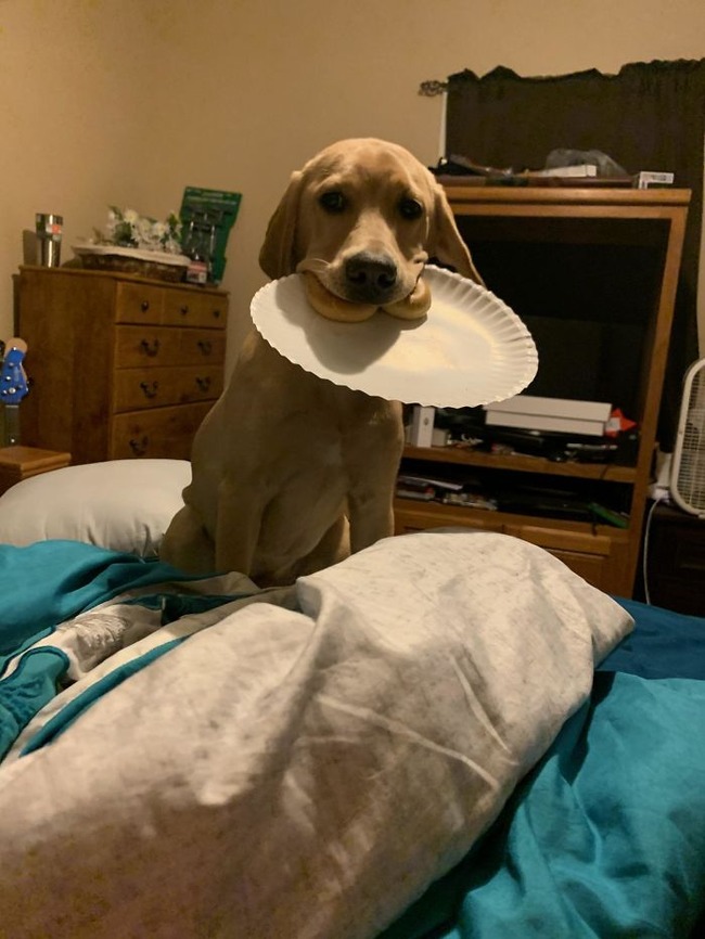 5f4520c48a340_chksewcllkb41__700