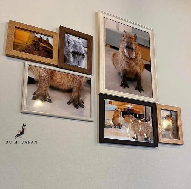 486261559_704804418547914_684435