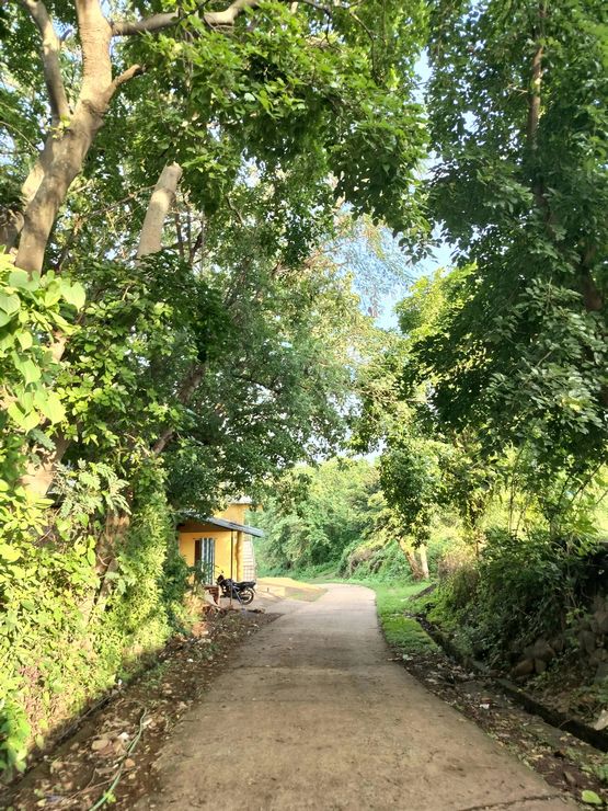 photos of your neighborhood that you took
