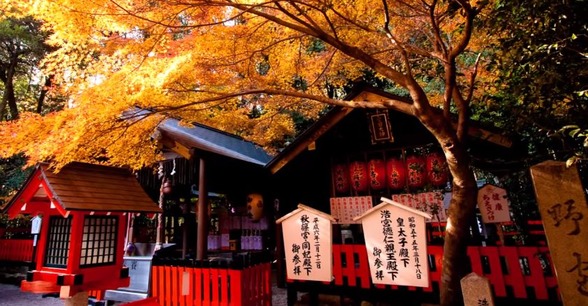 紅葉　秋　海外の反応　日本