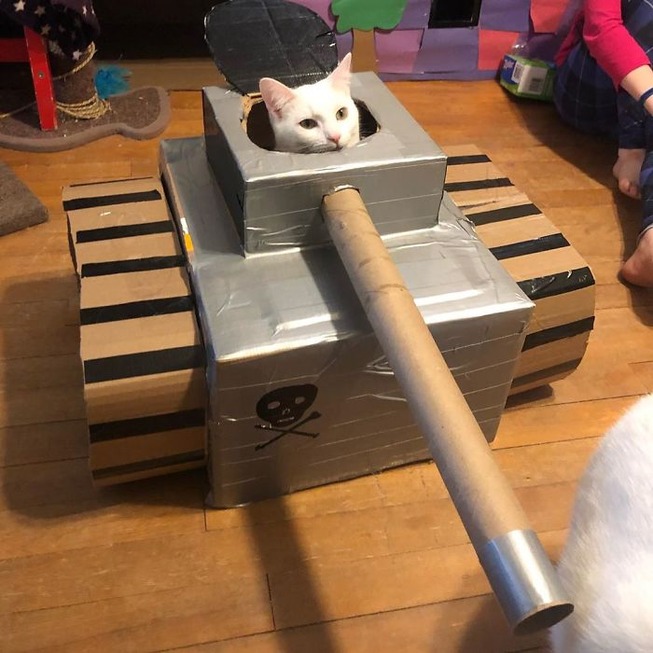quarantined-owners-build-cardboard-cat-tanks-5eaa74c91a38c__700