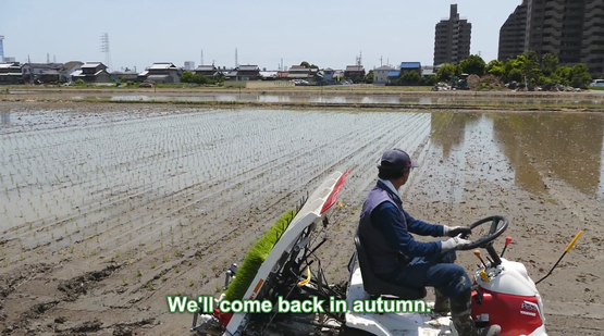 田植え 初挑戦 海外の反応