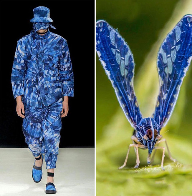 parallels-between-fashion-and-nature