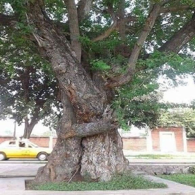 magnificent-creepy-miracles-from-natural-world