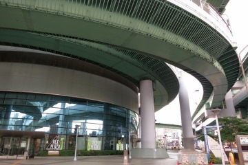 IMG_6484