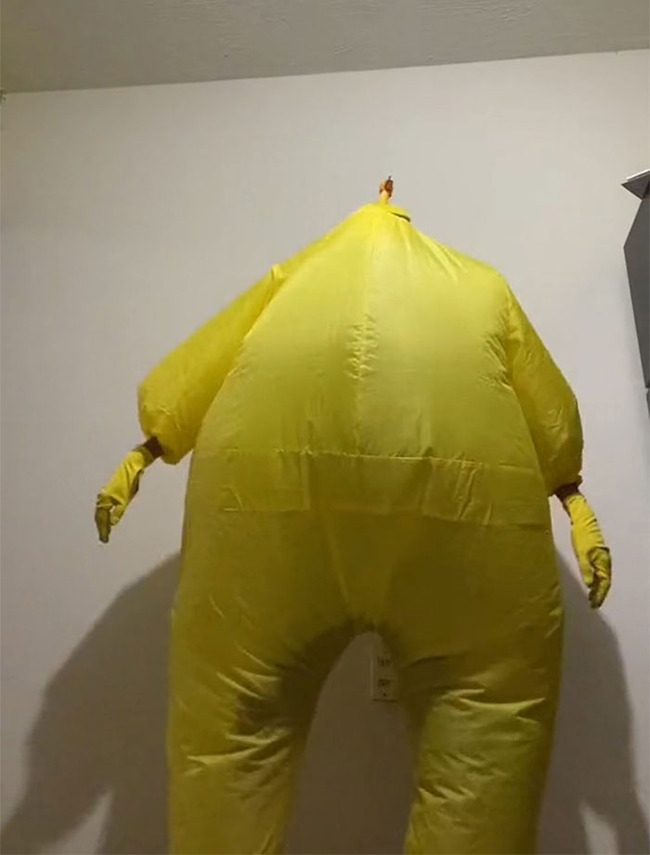 unattractive-halloween-costumes-653f9dec54f92__700
